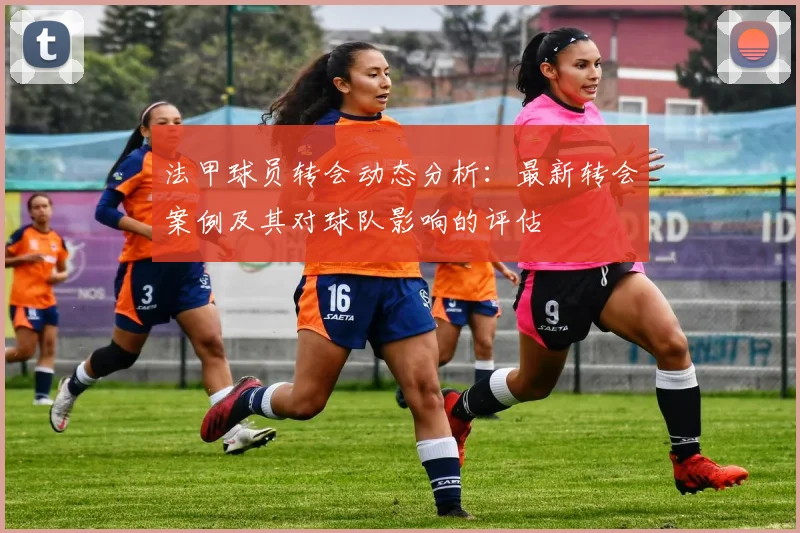 法甲球员转会动态分析：最新转会案例及其对球队影响的评估