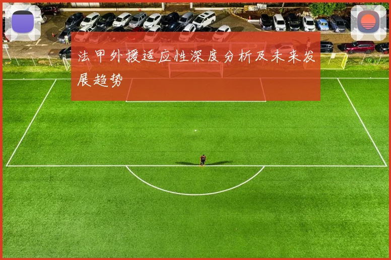 法甲外援适应性深度分析及未来发展趋势