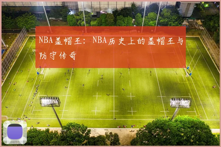 NBA盖帽王：NBA历史上的盖帽王与防守传奇