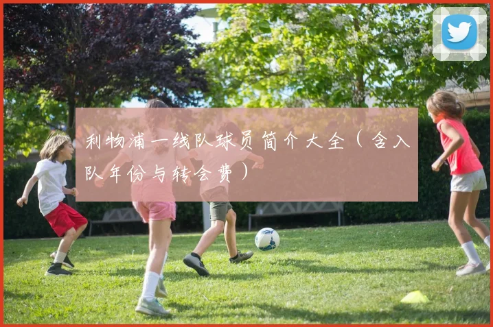 利物浦一线队球员简介大全（含入队年份与转会费）