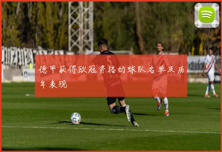 德甲获得欧冠资格的球队名单及历年表现