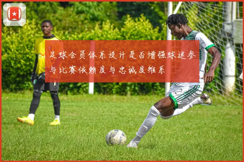足球会员体系设计是否增强球迷参与比赛依赖度与忠诚度维系