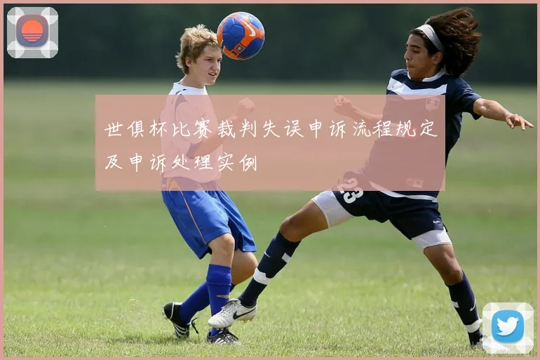 世俱杯比赛裁判失误申诉流程规定及申诉处理实例