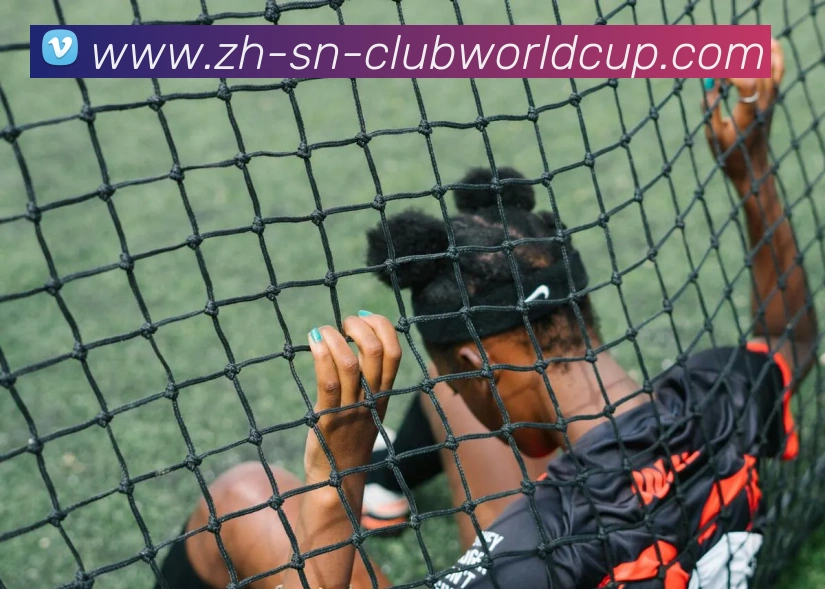 数据防护可视化